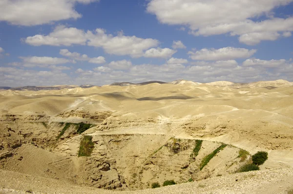 De judean woestijn. Israël. — Stockfoto