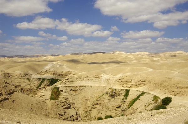 Judea öknen. Israel. — Stockfoto