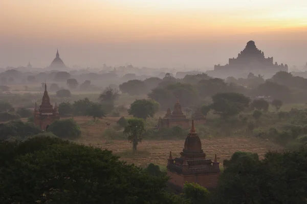 Tempels van bagan in de vroege ochtend. Myanmar (burma). — Stockfoto