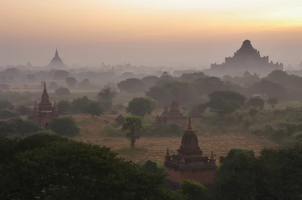 Chrámy bagan v časných ranních hodinách. Myanmar (Barma). — Stock fotografie