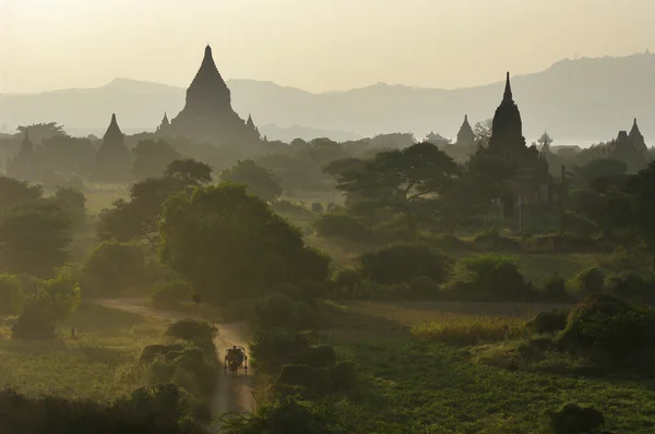 A kora reggeli órákban bagan templomok. Mianmar (burma). Stock Kép