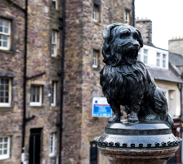 Statyn av greyfriars bobby i edinburgh. — Stockfoto