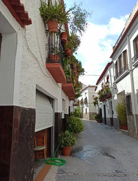 Vasi Fiori Nella Strada Del Villaggio Andaluso — Foto Stock