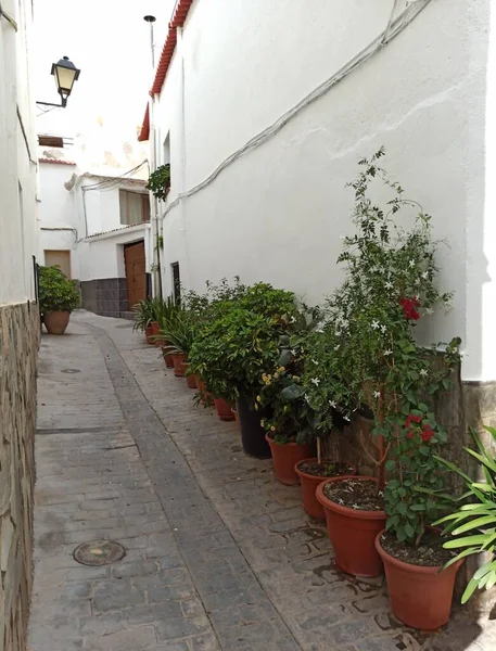 Vasi Fiori Nella Strada Del Villaggio Andaluso — Foto Stock