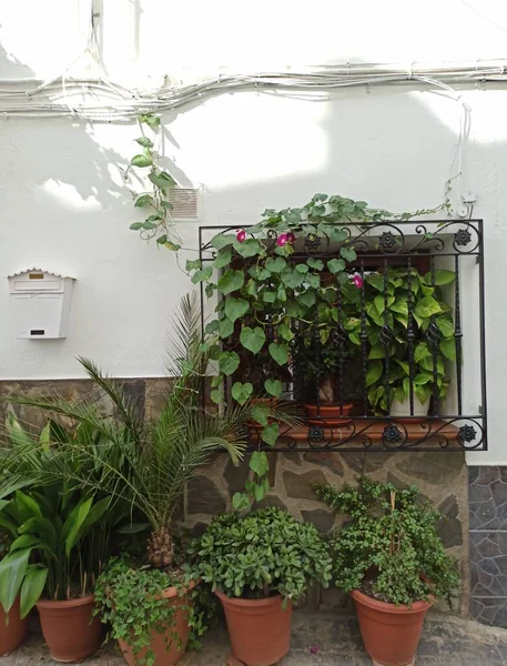 Bloemen Potten Straat Van Andalusië Dorp — Stockfoto