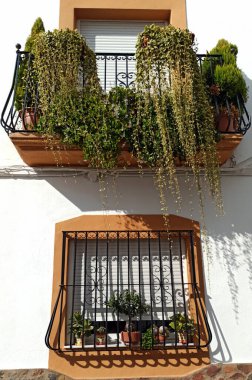 Güney İspanya 'da Laujar de Andarax' ta penceresinde çiçekli saksılar