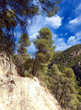 İspanya 'nın güneyinde Almeria Eyaleti' nde ağaçları olan bir vadi.