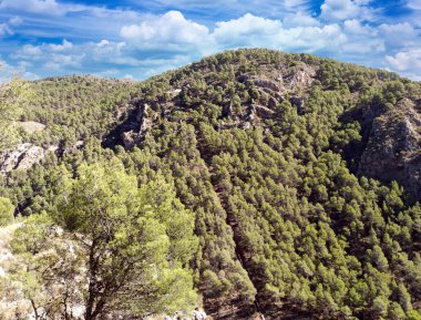 İspanya 'nın güneyinde Almeria Eyaleti' nde ağaçları olan bir vadi.