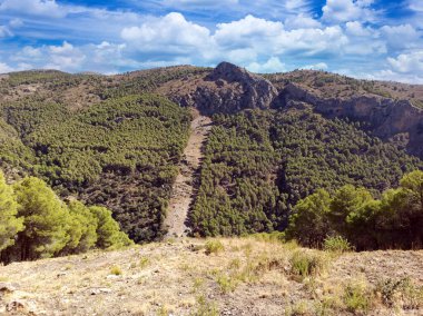 İspanya 'nın güneyinde Almeria Eyaleti' nde ağaçları olan bir vadi.