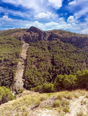 İspanya 'nın güneyinde Almeria Eyaleti' nde ağaçları olan bir vadi.