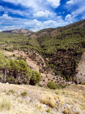 İspanya 'nın güneyinde Almeria Eyaleti' nde ağaçları olan bir vadi.