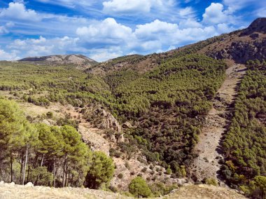 İspanya 'nın güneyinde Almeria Eyaleti' nde ağaçları olan bir vadi.