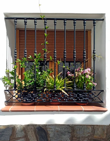 西班牙南部Laujar Andarax的窗户上有花的盆栽 — 图库照片