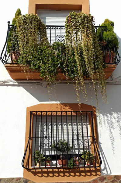 Güney İspanya 'da Laujar de Andarax' ta penceresinde çiçekli saksılar