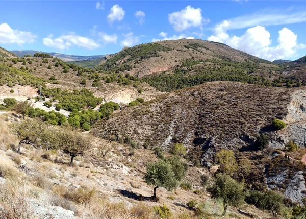 Dolina Drzewami Prowincji Almeria Południu Hiszpanii — Zdjęcie stockowe