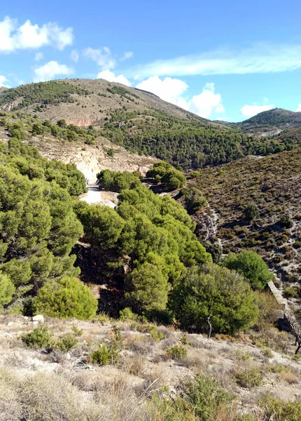 Dolina Drzewami Prowincji Almeria Południu Hiszpanii — Zdjęcie stockowe