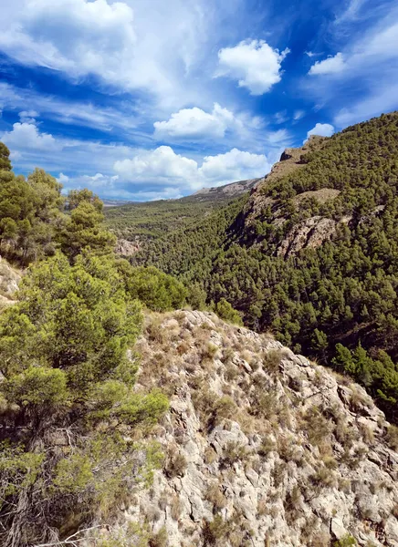 Vale Com Árvores Província Almeria Sul Espanha — Fotografia de Stock