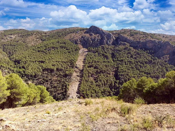 İspanya 'nın güneyinde Almeria Eyaleti' nde ağaçları olan bir vadi.