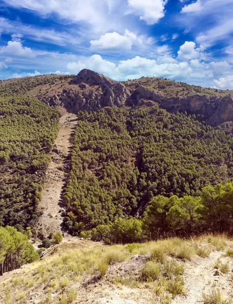 İspanya 'nın güneyinde Almeria Eyaleti' nde ağaçları olan bir vadi.