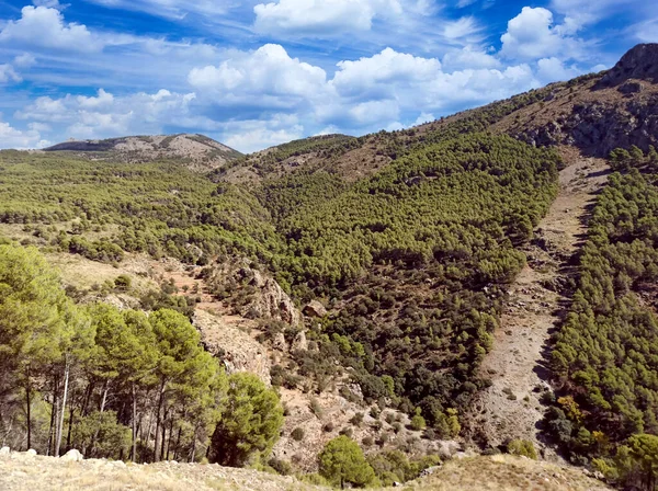 İspanya 'nın güneyinde Almeria Eyaleti' nde ağaçları olan bir vadi.