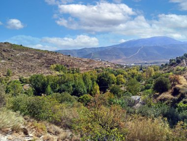 İspanya 'nın güneyinde Almeria Eyaleti' nde ağaçları olan bir vadi.