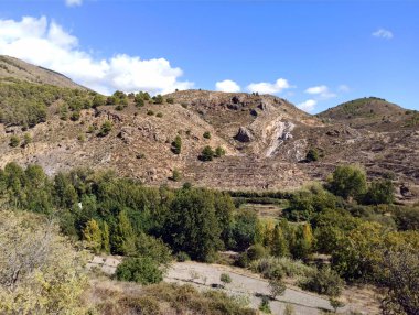 İspanya 'nın güneyinde Almeria Eyaleti' nde ağaçları olan bir vadi.