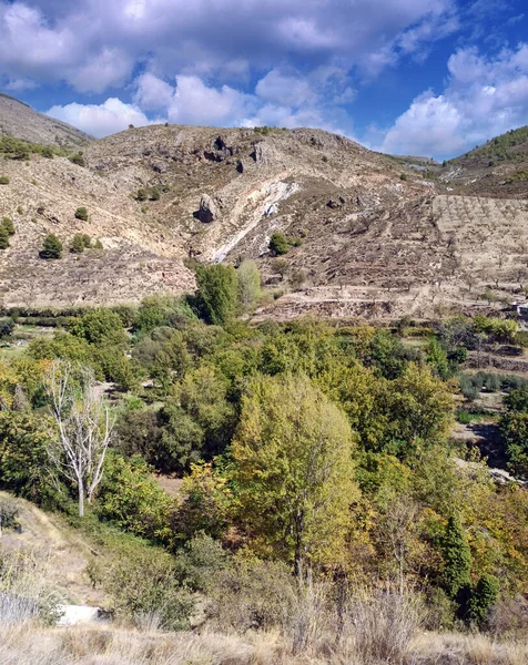 Vallei Met Bomen Provincie Almeria Zuid Spanje — Stockfoto
