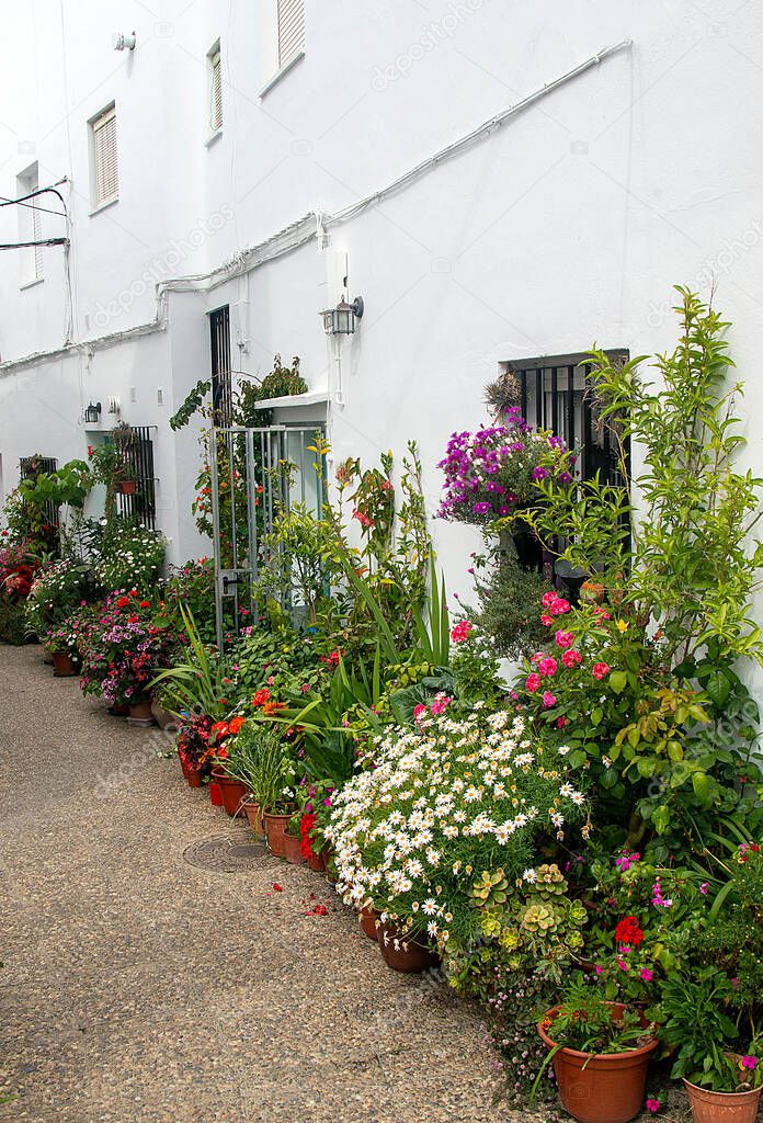 Street of Conil de La Frontera in Cadiz in the south of Spain with flower pots.