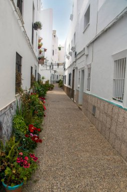 İspanya 'nın güneyindeki Cadiz' de Conil de La Frontera Caddesi 'nde saksılar var..