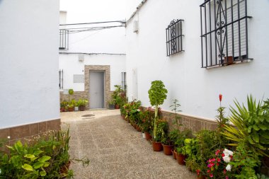 İspanya 'nın güneyindeki Cadiz' de Conil de La Frontera Caddesi 'nde saksılar var..