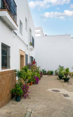 İspanya 'nın güneyindeki Cadiz' de Conil de La Frontera Caddesi 'nde saksılar var..