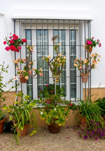 Straße Von Conil Frontera Cadiz Süden Spaniens Mit Blumentöpfen — Stockfoto