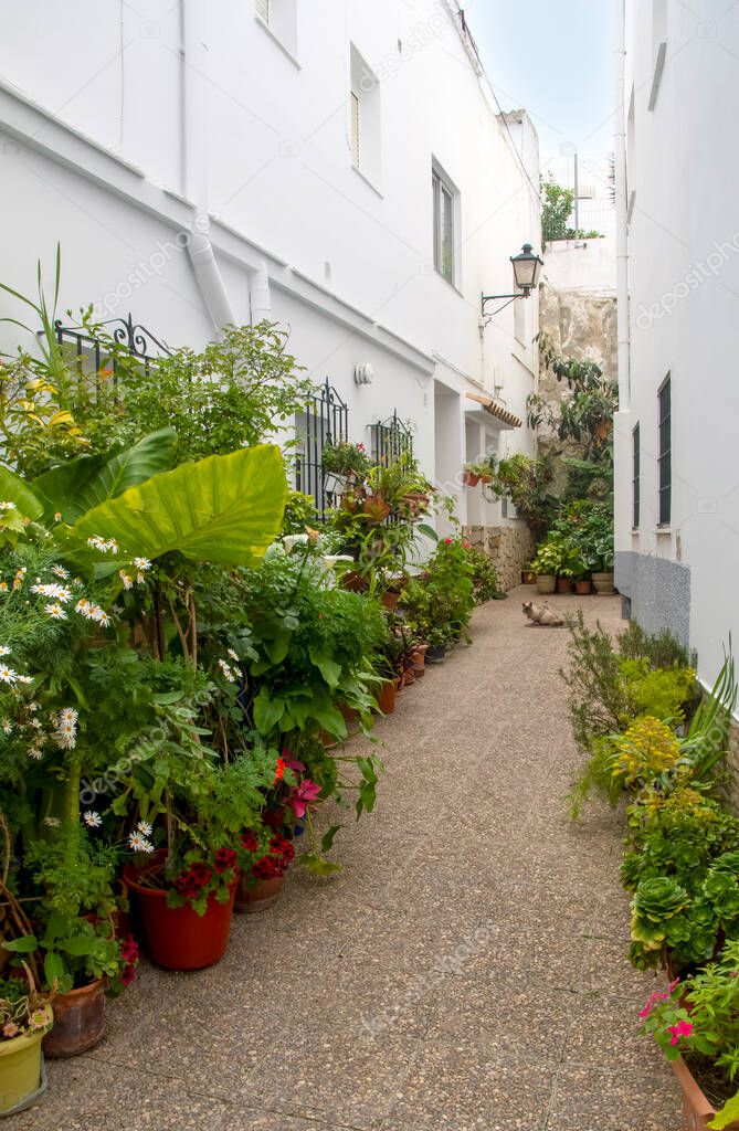 Street of Conil de La Frontera in Cadiz in the south of Spain with flower pots.