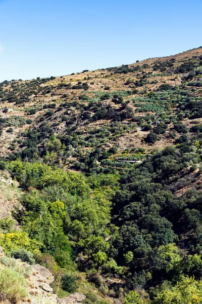 Berge Der Provinz Almeria Süden Spaniens Einem Sonnigen Tag — Stockfoto