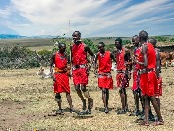 Masai Mara Kenya Maio 2014 Guerreiros Masai Não Identificados Participam — Fotografia de Stock