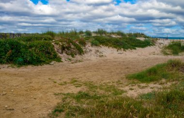 Baharda İspanya 'nın güneyinde Conil de La Frontera' nın çayırları. Çiçekleri ve kum tepeciklerini görebilirsin.