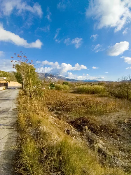 Die Wiesen Der Provinz Granada Süden Spaniens Herbst — Stockfoto