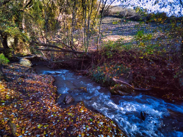 格拉纳达省Monachil被树叶环绕的河流 — 图库照片