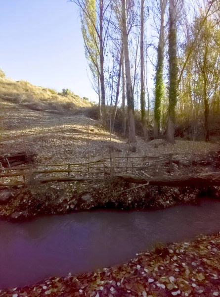 River Surrounded Leaves Monachil Granada Province Autumn — Stock Photo, Image