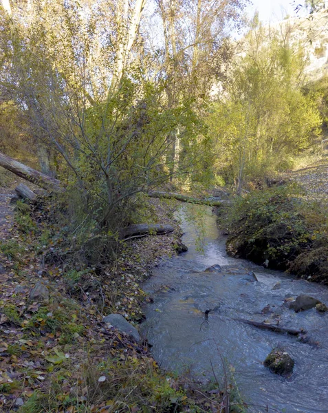 Осенью Река Окружена Листьями Монахиле Провинции Гранада — стоковое фото