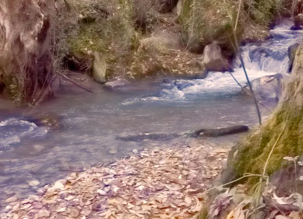 River Surrounded Leaves Monachil Granada Province Autumn — Stock Photo, Image