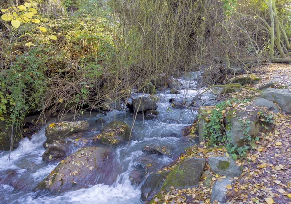 River Surrounded Leaves Monachil Granada Province Autumn — Stock Photo, Image