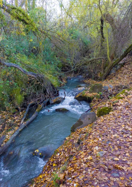 Rzeka Otoczona Liśćmi Monachil Prowincji Granada Jesienią — Zdjęcie stockowe