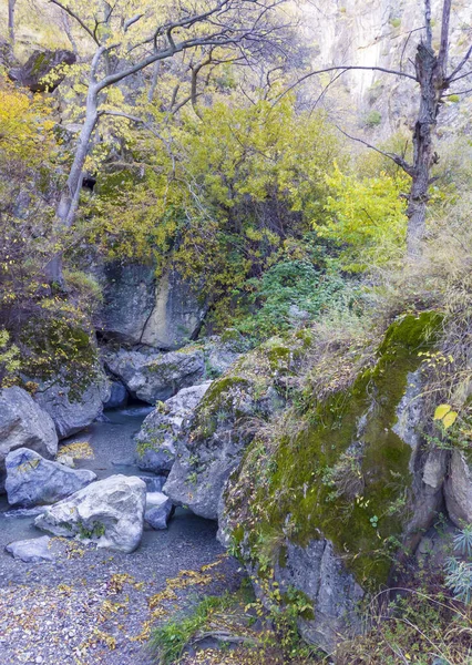 秋のダグラナダ州のシエラネバダ山脈 — ストック写真