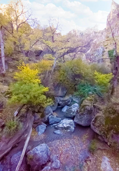 秋にはグラナダ県モナチルの葉に囲まれた川 — ストック写真