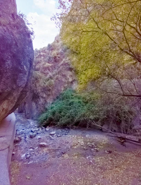 秋天达格拉纳达省内华达山脉 — 图库照片
