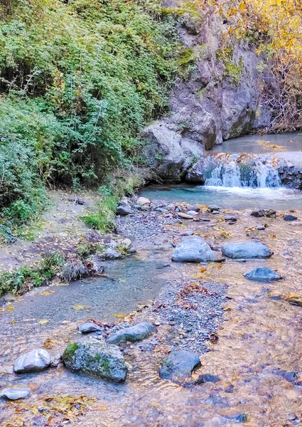 River Surrounded Leaves Monachil Granada Province Autumn — Stock Photo, Image