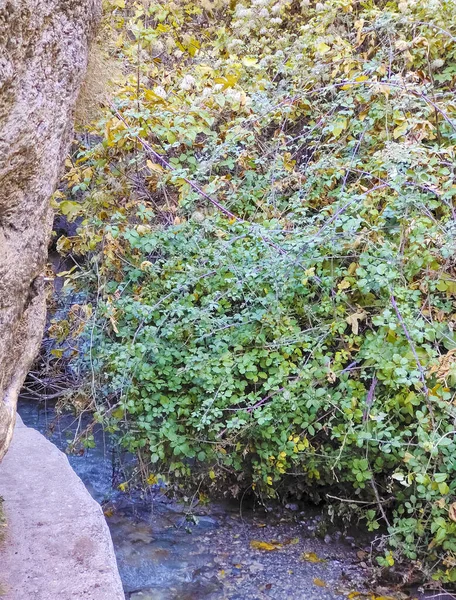 Río Rodeado Hojas Monachil Provincia Granada Otoño —  Fotos de Stock