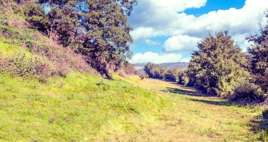 Suuny bir günde vadide Fransız tarımı