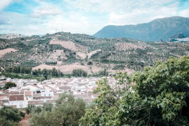 İspanya 'nın güneyinde Algodonales adında beyaz evler köyü. Dağlar ve ormanlarla çevrili..